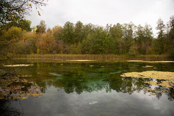 Fototapeta na wymiar The shore of the lake in the autumn forest. Autumn