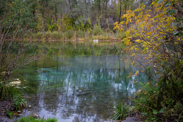 The shore of the lake in the autumn forest. Autumn