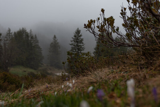 Nebel und Regen am Riedberger Horn