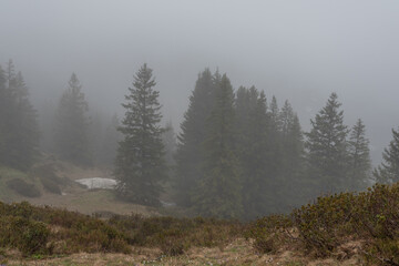 Nebel und Regen am Riedberger Horn