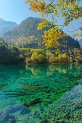 Colorful Lake, Jiuzhaigou National Park, Sichuan Province, China, Unesco World Heritage Site