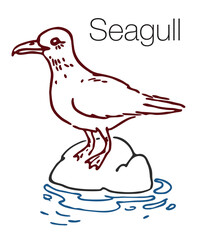Seagull hand drawn vector illustration