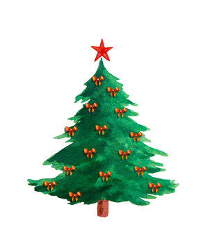 Watercolor fir tree with christmas star isolated on white.