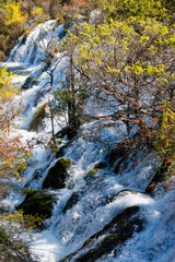 Sparkling lake Cascades, Jiuzhaigou National Park, Sichuan Province, China, Unesco World Heritage Site