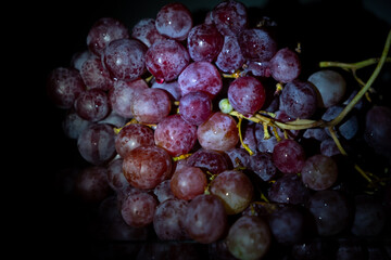 Close-up, berries of dark bunch of grape in low light isolated on black background.