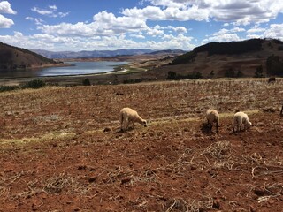 the sacred valley in peru
