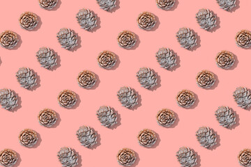 Trendy Christmas pattern made with cedar cones on monochrome beige background.