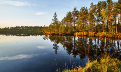 Beautiful lake view in autumn