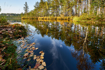 Beautiful lake view in autumn 