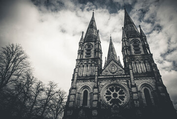Saint Fin Barre's Cathedral in Cork, Ireland