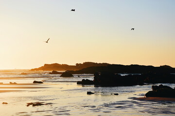 portugal sunset on the beach