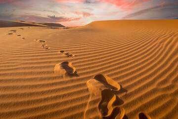 Sunset over footprints in the sand, Sahara - Erg Chebbi, Morocco