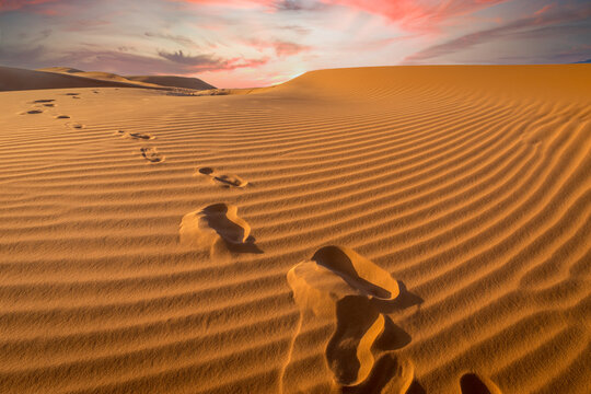 Sunset over footprints in the sand, Sahara - Erg Chebbi, Morocco