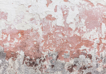 Close-up texture of a wall with a peeled peeling white fringe through which you can see the pink...