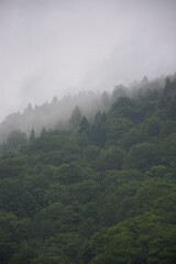 Obraz premium fog in the mountains