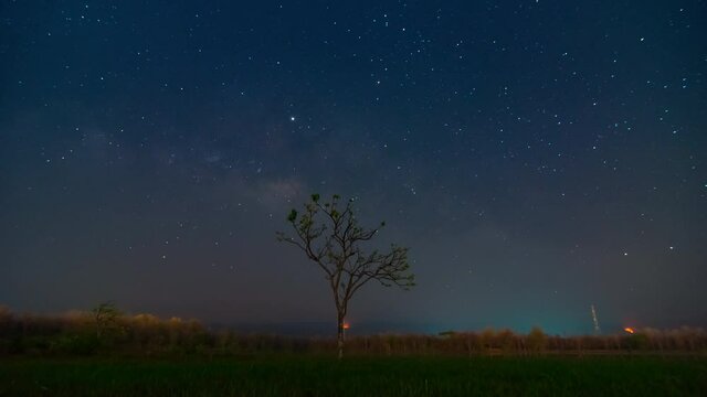 4K Time-Lapse Video of Milky way galaxy with stars and space dust in the universe on night sky over tree mae moh lampang.