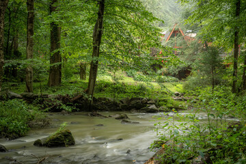 Fototapeta na wymiar Cabin in the Woods and Forest Stream