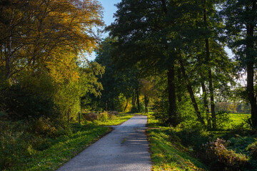 Obraz premium in the evening sunlight the light has a certain magic after the rain