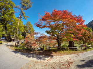 Naklejka premium 日本の秋の風景 紅葉シーズン