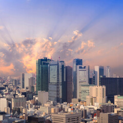 Landscape of tokyo city skyline in Aerial view with skyscraper, modern office building and blue sky background in Tokyo metropolis, Japan.