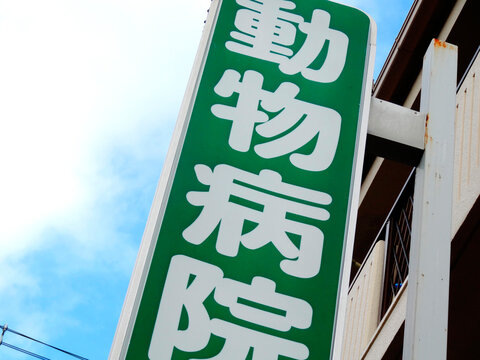 2 936 Best 動物病院 Images Stock Photos Vectors Adobe Stock 2 936 Best 動物病院 Images Stock Photos Vectors Adobe Stock
