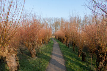 Rhoonse Grienden bij Rhoon