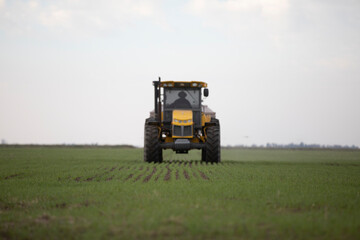 Fertilizando el sembrado con nitrógeno fosforo y potasio 