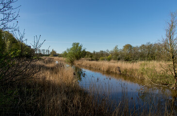 Natuurpark De Broekpolder bij Vlaardingen-Nederland