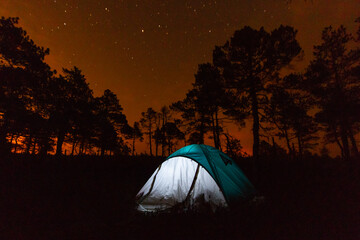 Tents near forest lake in day and night time
