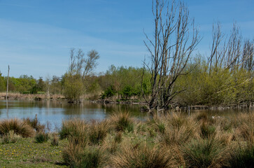 Natuurpark De Broekpolder bij Vlaardingen-Nederland