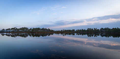 Morning in the swamp lake