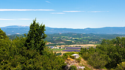 Fototapeta na wymiar Paysage du lubéron avec vue sur la vallée du rhône, la végétation méditerranéenne, la lavande et les Alpes à l'arrière plan, un jour ensoleillé sans nuage
