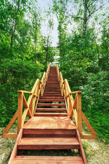 Fototapeta premium wooden staircase to the mountain in the woods