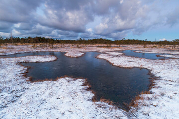 Swamp lake with islands in sunny winter day in sunrise