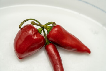 Red pepper plate on background white