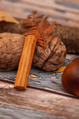 Autumn vibes: chestnuts, walnuts, dried leaves and cinnamon