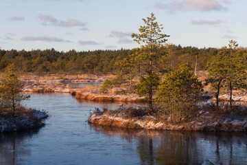 Swamp lake with islands in sunny winter day in sunrise