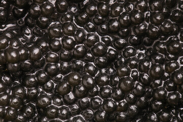 black sturgeon caviar