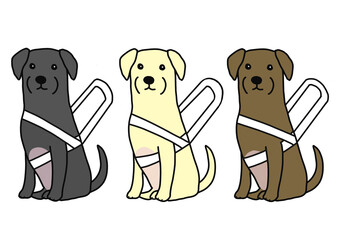 ハーネスをつけた3色の盲導犬
