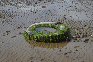 wheel on the beach