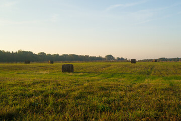 Obraz premium Sunrise over the field in the early morning