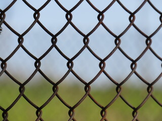 Fototapeta premium Metal fence mesh in colored colors for background