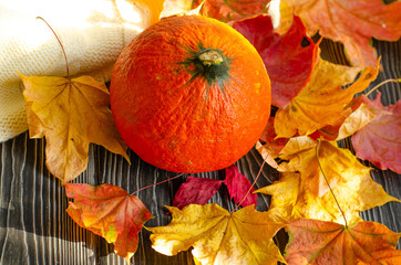 Orange natural round pumpkin on a wooden table with fallen yellow and red maple leaves. Warm autumn atmosphere, thanksgiving, harvest festival, Halloween. Copy space.