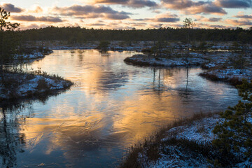 Swamp lake with islands in sunny winter day in sunrise