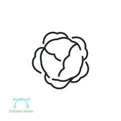 Lettuce vegetable icon. salad sign , green vegetable leaves and organic. outline or line pictogram style. Editable stroke. vector illustration. Design on white background. EPS 10