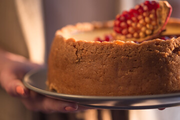 Homemade cheesecake with Christmas spices in woman hands. Delicious cheese cake with berries, healthy organic summer dessert pie.