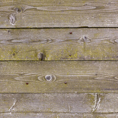 Obraz premium The old wood texture with natural patterns