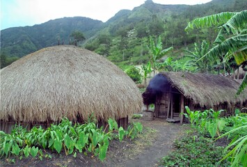 Fototapeta na wymiar A village of Dani tribe in the Baliem Valley, New Guinea