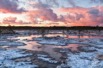 Swamp lake with islands in sunny winter day in sunrise