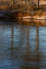 Swamp lake with islands in sunny winter day in sunrise